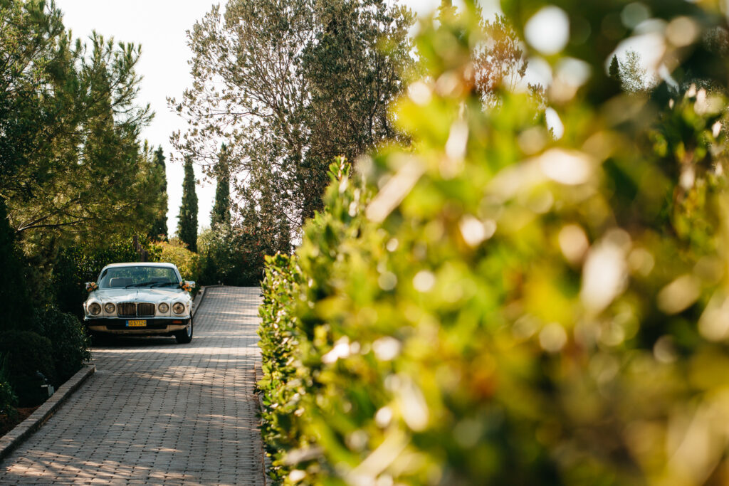 Wedding in Greece, Event planner in Greece, Event planner in Athens, Wedding in Athens, Destination wedding in Greece, Best event planners in Greece, Luxury wedding in Athens, Wedding flowers, Wedding party, Wedding Reception, Peach wedding, Countryside wedding