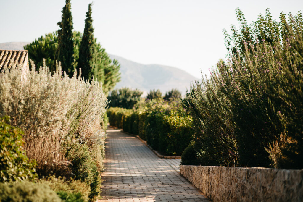 Wedding in Greece, Event planner in Greece, Event planner in Athens, Wedding in Athens, Destination wedding in Greece, Best event planners in Greece, Luxury wedding in Athens, Wedding flowers, Wedding party, Wedding Reception, Peach wedding, Countryside wedding