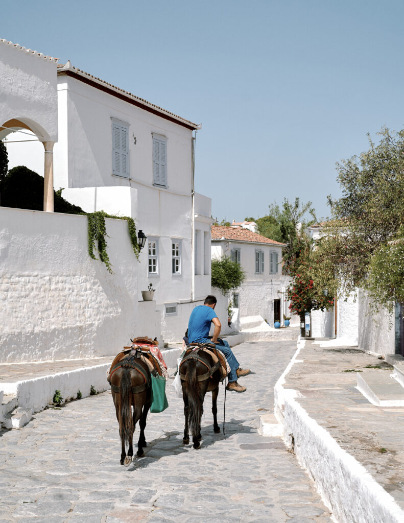 Wedding in Greece, Event planner in Greece, Event planner in Hydra, Wedding in Hydra, Destination wedding in Greece, Best event planners in Greece, Wedding flowers, Wedding party, Wedding Reception, Seaside wedding