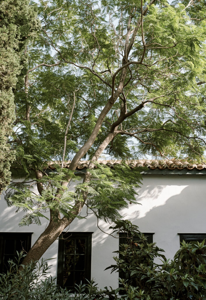 Wedding in Greece, Event planner in Greece, Event planner in Hydra, Wedding in Hydra, Destination wedding in Greece, Best event planners in Greece, Wedding flowers, Wedding party, Wedding Reception, Seaside wedding