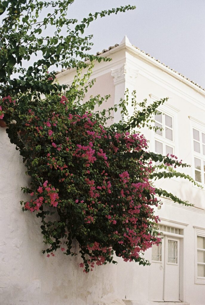 Wedding in Greece, Event planner in Greece, Event planner in Hydra, Wedding in Hydra, Destination wedding in Greece, Best event planners in Greece, Wedding flowers, Wedding party, Wedding Reception, Seaside wedding