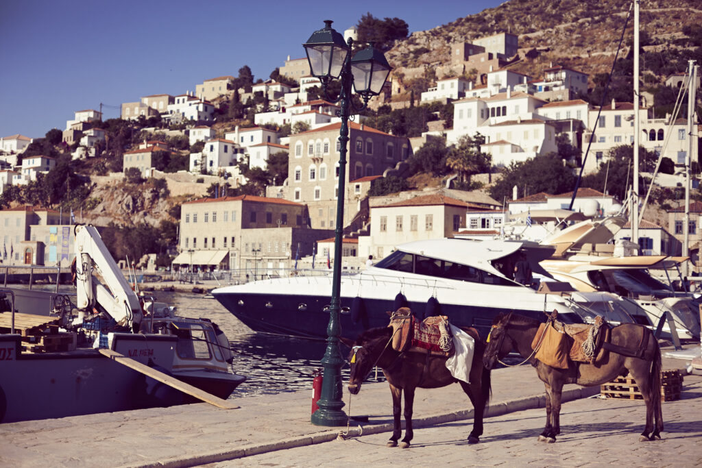 Wedding in Greece, Event planner in Greece, Event planner in Hydra, Wedding in Hydra, Destination wedding in Greece, Best event planners in Greece, Wedding flowers, Wedding party, Wedding Reception, Seaside wedding