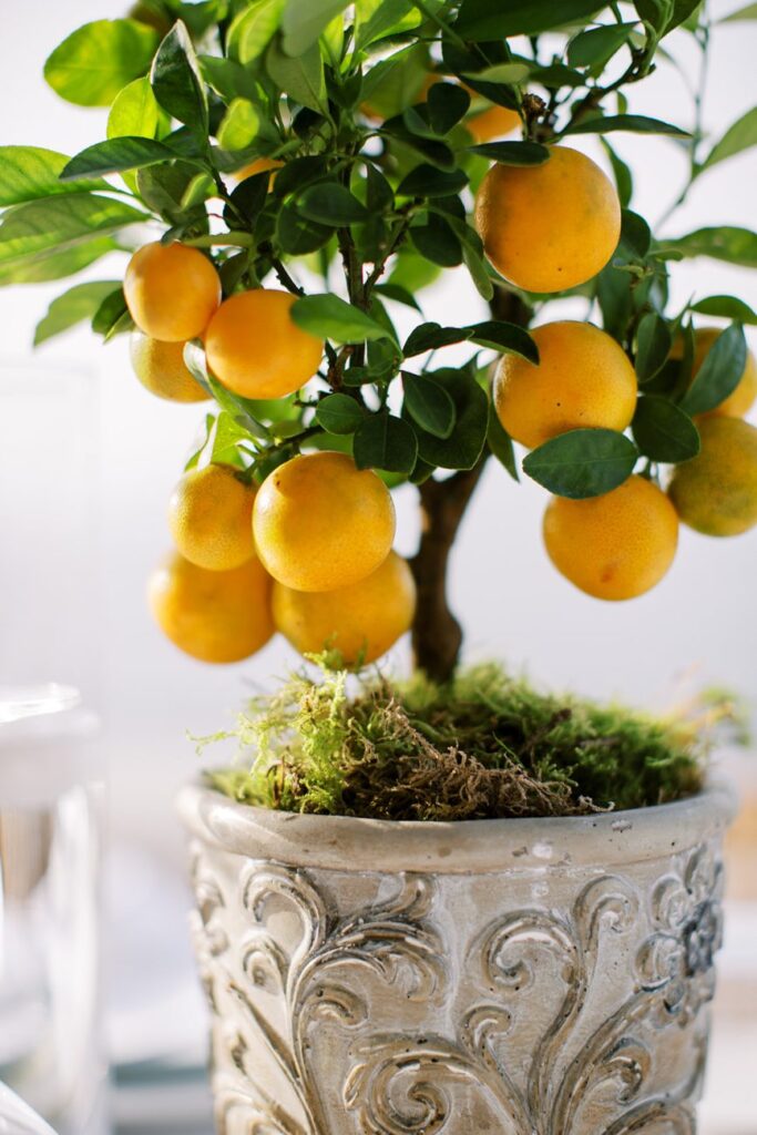 Wedding in Greece, Event planner in Greece, Event planner in Hydra, Wedding in Hydra, Destination wedding in Greece, Best event planners in Greece, Wedding flowers, Wedding party, Wedding Reception, Seaside wedding